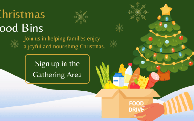 Christmas Food Bins